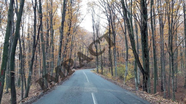 Drumul care traversează „Pădurea Pesceana”, de la Şirineasa şi până la Suteşti, a intrat în linie dreaptă în vederea modernizării