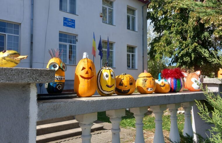 Creativitatea elevilor de la Școala Gimnazială Lăpușata