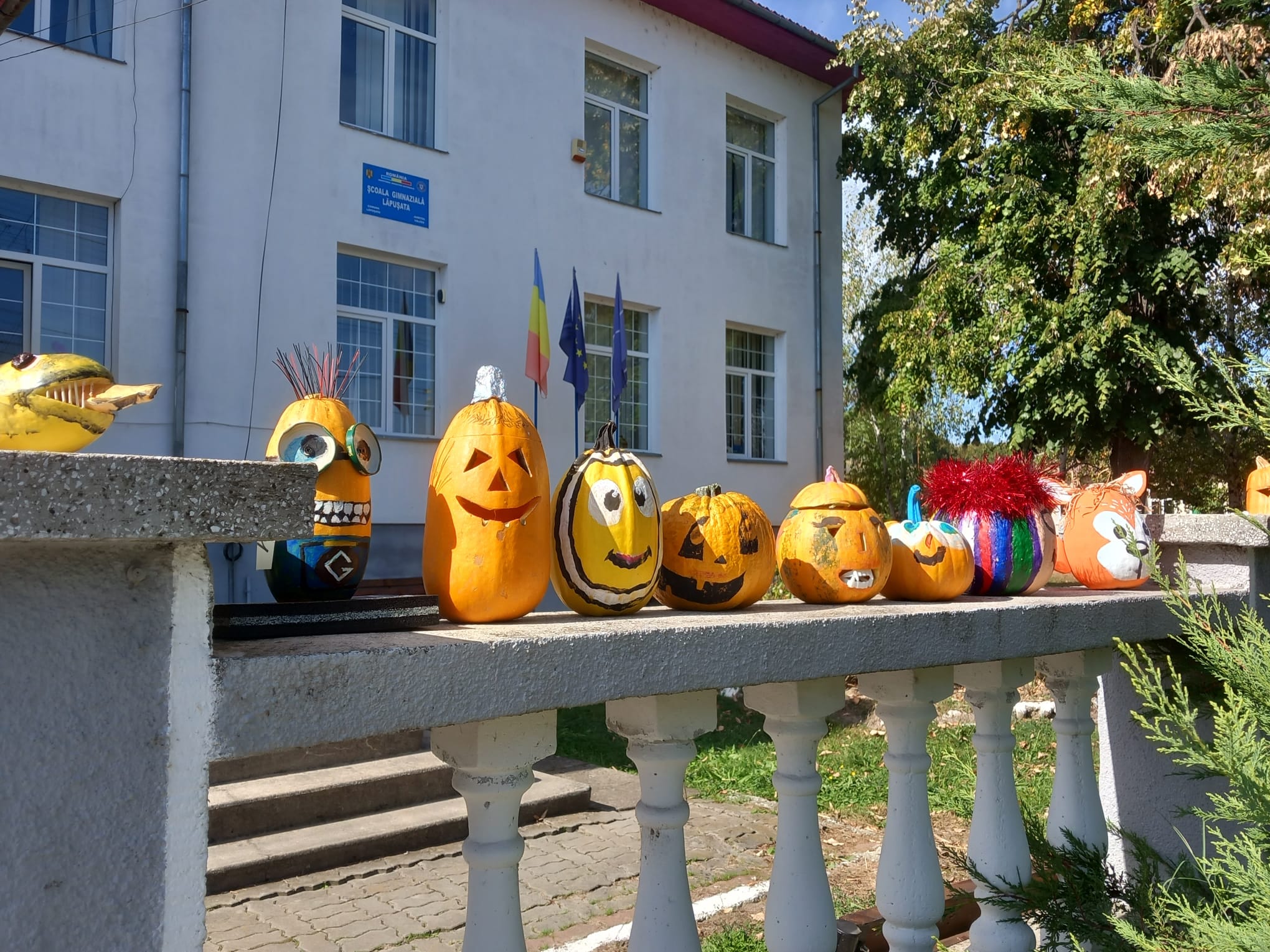 Creativitatea elevilor de la Școala Gimnazială Lăpușata