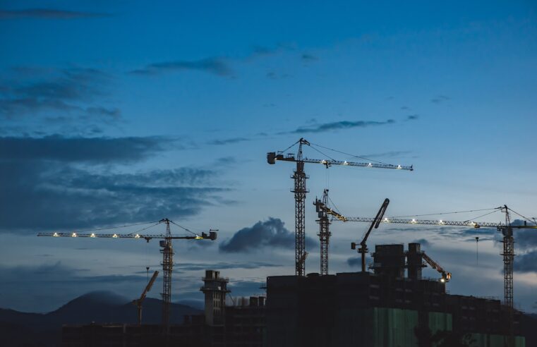 Șefa de la Vedra spune că există mulți antreprenori care performează în România: „De ce nu încercăm să ieșim mai mult în afara țării?”