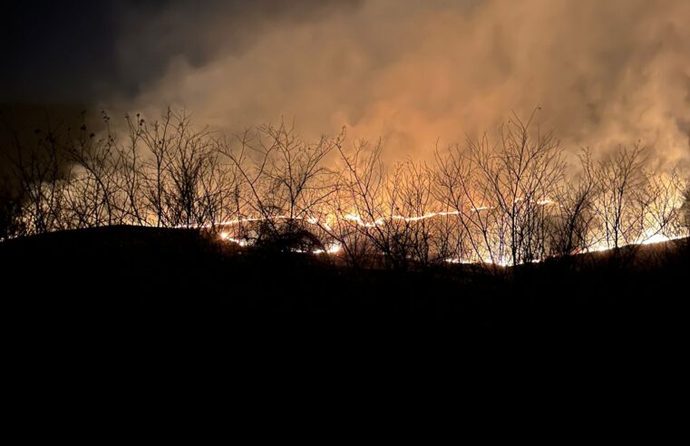 Incendiu de vegetație devastator la Scundu și Orlești
