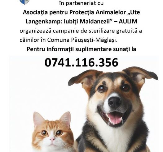 Ajutor pentru prietenii noștri necuvântători: sterilizare gratuită la Păușești Măglași