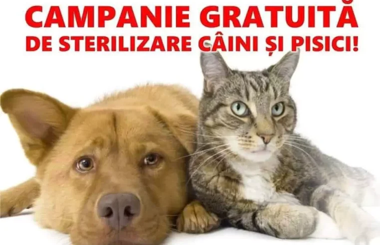 La Galicea continuă acțiunile de sterilizare gratuită: 48 de animale sterilizate