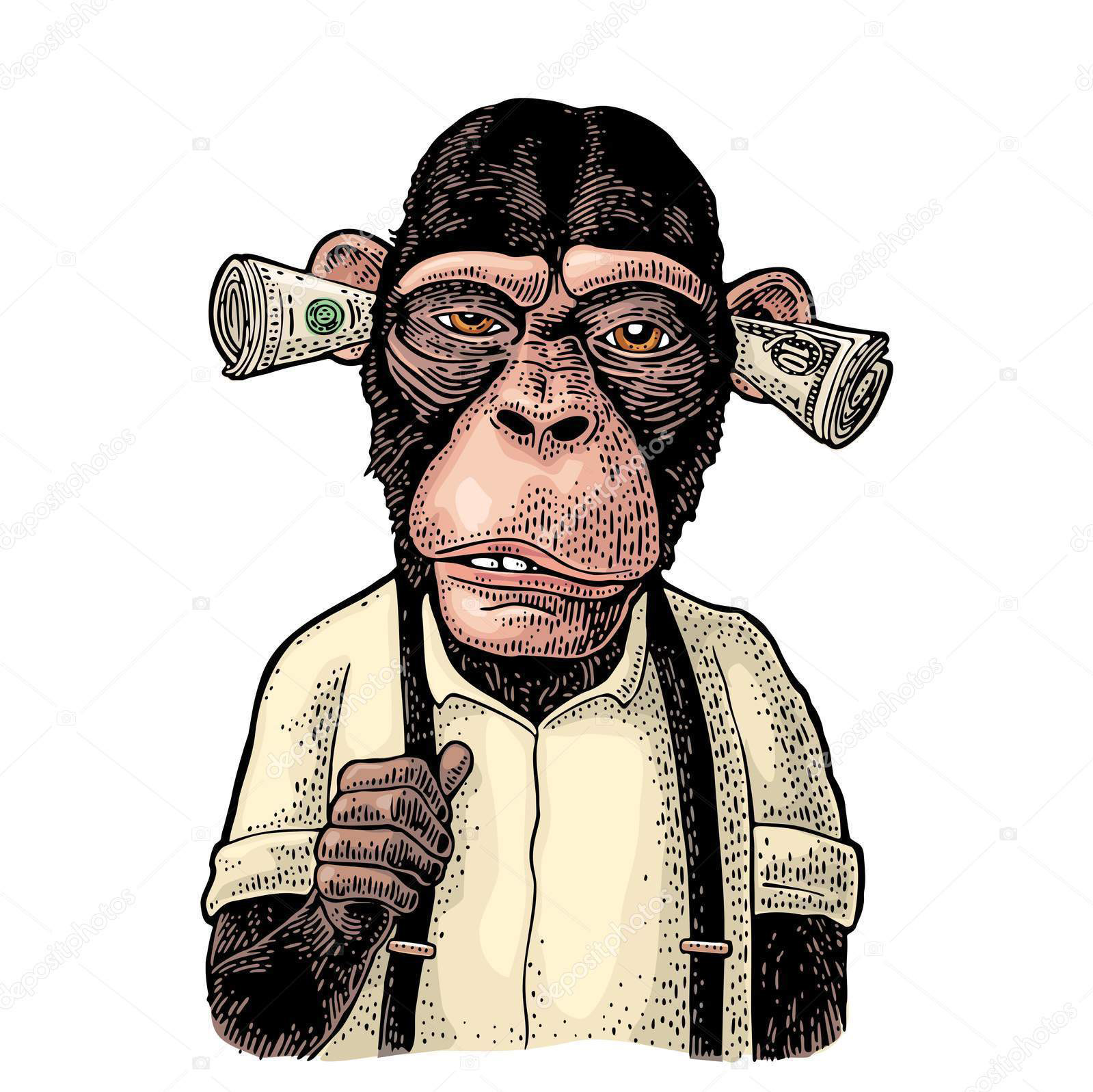 Cum se aruncă pisica moartă în curtea primarilor