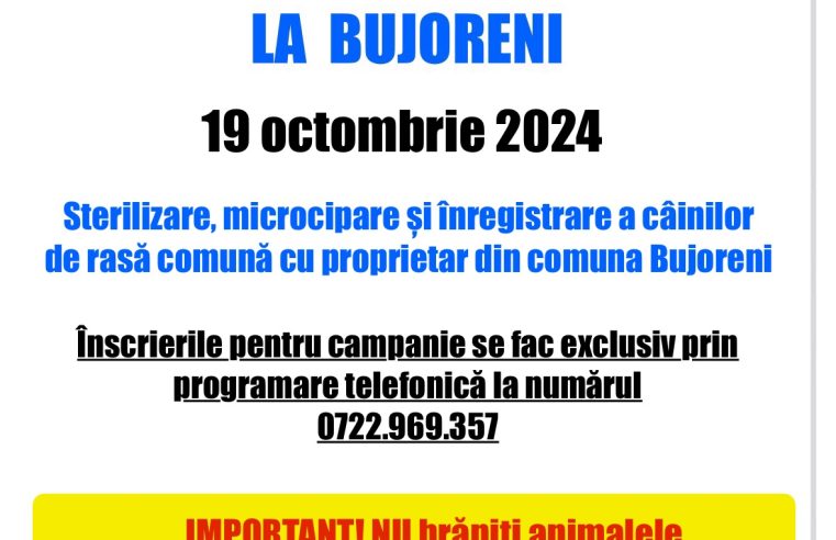 Campanie gratuită la Bujoreni pentru sterilizarea câinilor. Primarul Gheorghe Gîngu invită cetățenii să participe!