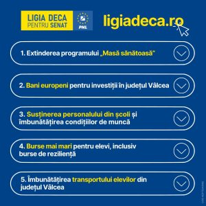 Ligia Deca propune îmbunătățirea educației