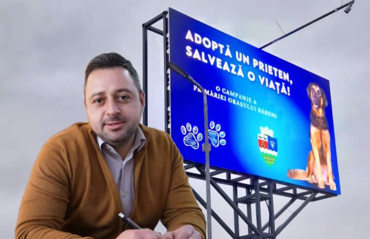 ”Adoptă un prieten, salvează o viață!”– Campanie pentru câinii fără stăpân la Băbeni