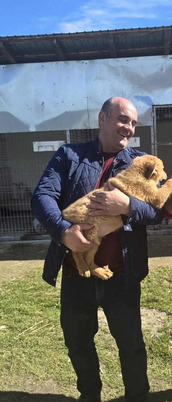 La Drăgășani, câinii vor sta în condiții decente: Primarul Costinel Stoica supraveghează lucrările până la final