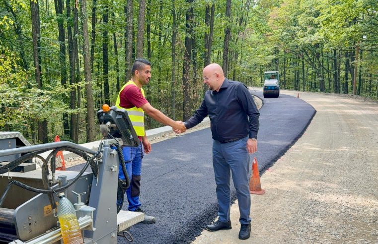 Președintele Consiliul Județean Vâlcea, Constantin Rădulescu: „Se asfaltează drumul prin pădurea de la Șirineasa!”
