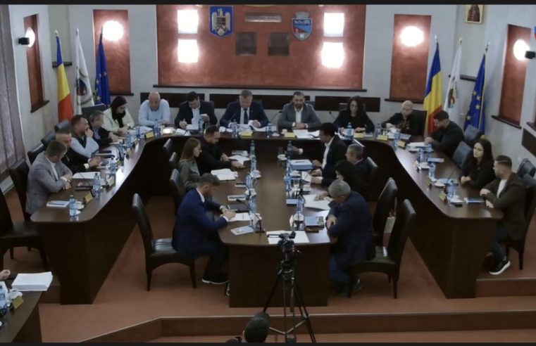 „Trei milioane de euro, o pisică moartă și 23 de mâini ridicate” – ironia amară a căldurii din Râmnicu Vâlcea