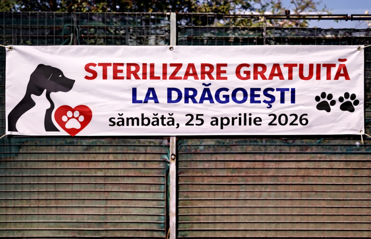 Sâmbătă, 25 aprilie, acțiune gratuită de sterilizare la Drăgoești, primăria face apel la implicarea cetățenilor pentru reducerea abandonului